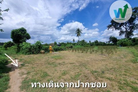 Land in Chai Nat, Thailand 4900000 sq.m. № 160411 - photo 4
