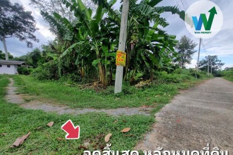 Land in Chai Nat, Thailand 4900000 sq.m. № 160411 - photo 7