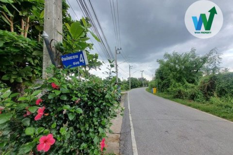 Land in Chai Nat, Thailand 4900000 sq.m. № 160411 - photo 3