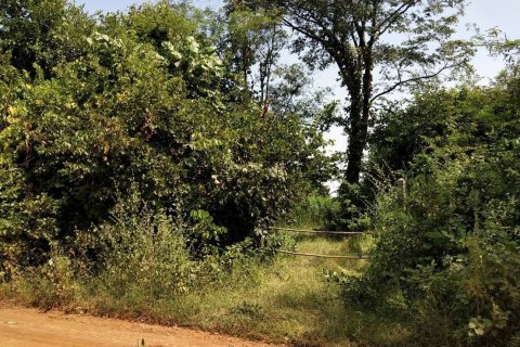 Земельный участок в Саконнакхоне, Таиланд 36400м2  № 160409 - фото 4