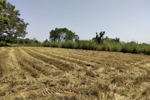 Земельный участок в Саконнакхоне, Таиланд 36400м2  № 160409 - фото 2