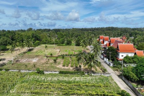 Terrain à Mai Khao, Thaïlande 4800 m2 № 141269 - photo 15