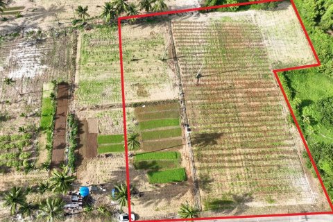 Terrain à Mai Khao, Thaïlande 4800 m2 № 141269 - photo 5