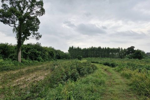 Terrain à Phanom Sarakham, Thaïlande 51200 m2 № 171737 - photo 4