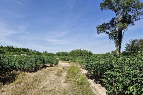 Terrain à Phanom Sarakham, Thaïlande 51200 m2 № 171737 - photo 2