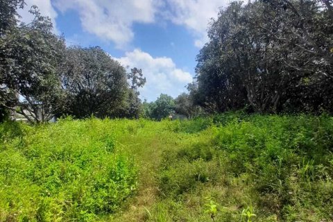 Земельный участок в Самуи, Таиланд 3905м2  № 141392 - фото 4