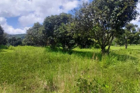 Земельный участок в Самуи, Таиланд 3905м2  № 141392 - фото 5