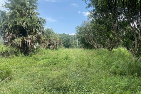 Земельный участок в Самуи, Таиланд 3905м2  № 141392 - фото 8