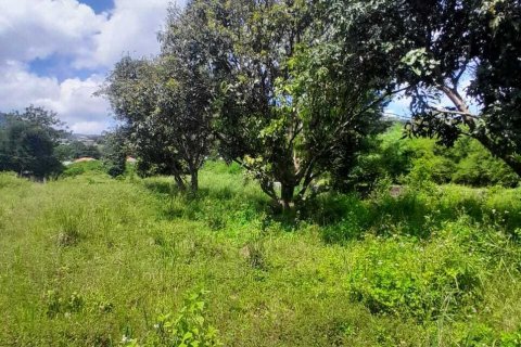 Земельный участок в Самуи, Таиланд 3905м2  № 141392 - фото 11