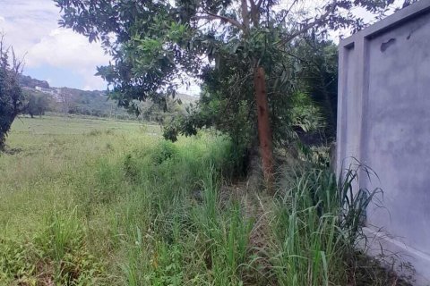 Земельный участок в Самуи, Таиланд 3905м2  № 141392 - фото 6