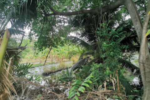 Terrain à Thung Khru, Bangkok, Thaïlande 5264 m2 № 147222 - photo 3