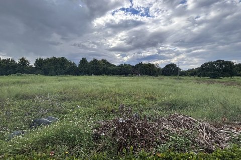 Земельный участок в Ханг Донге, Таиланд 3092м2  № 151435 - фото 12