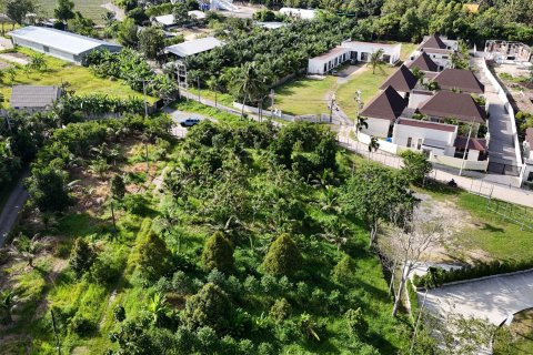 Земельный участок в Пхукете, Таиланд 6400м2  № 144786 - фото 5