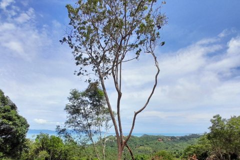 Terrain à Ko Samui, Thaïlande 3888 m2 № 152938 - photo 5