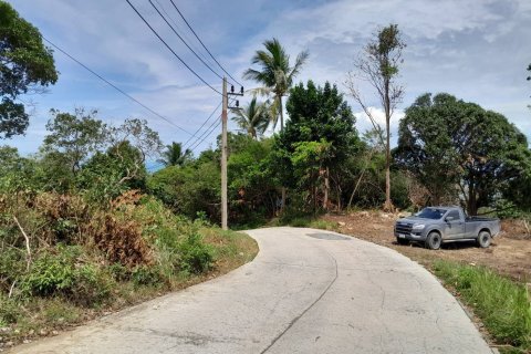 Terrain à Ko Samui, Thaïlande 3888 m2 № 152938 - photo 3