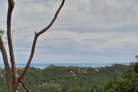 Terrain à Ko Samui, Thaïlande 3888 m2 № 152938 - photo 6