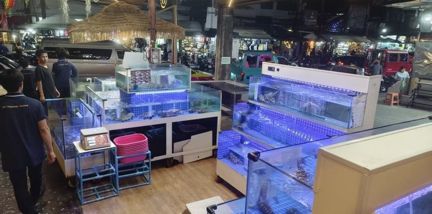 Propriété commerciale à Kathu, Thaïlande № 156603