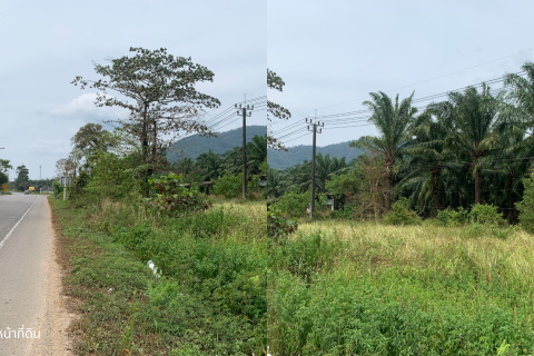 Terrain à Ranong, Thaïlande 163200 m2 № 171835 - photo 6