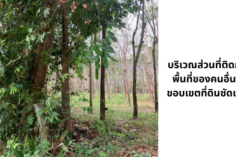 Terrain à Ranong, Thaïlande 163200 m2 № 171835 - photo 7