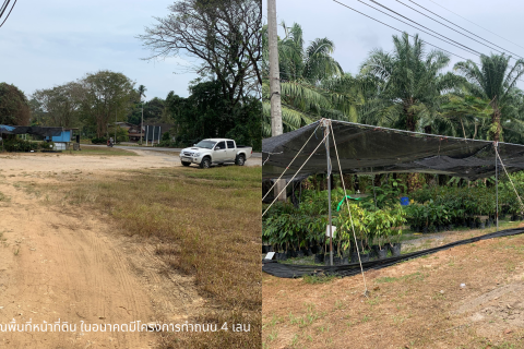 Terrain à Ranong, Thaïlande 163200 m2 № 171835 - photo 5