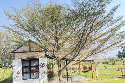 Hotel in Mae Taeng, Thailand № 155042 - photo 14