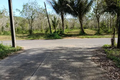 Земельный участок в Пхангнге, Таиланд 43200м2  № 153545 - фото 2