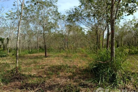 Земельный участок в Пхангнге, Таиланд 43200м2  № 153545 - фото 4