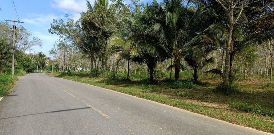 Земельный участок в Пхангнге, Таиланд 43200м2  № 153545