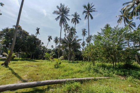 Land in Ko Samui, Thailand 6400 sq.m. № 160711 - photo 6