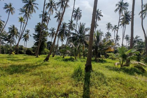 Land in Ko Samui, Thailand 6400 sq.m. № 160711 - photo 9