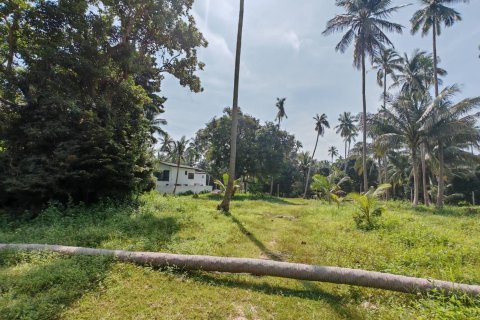 Land in Ko Samui, Thailand 6400 sq.m. № 160711 - photo 5