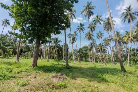 Land in Ko Samui, Thailand 6400 sq.m. № 160711