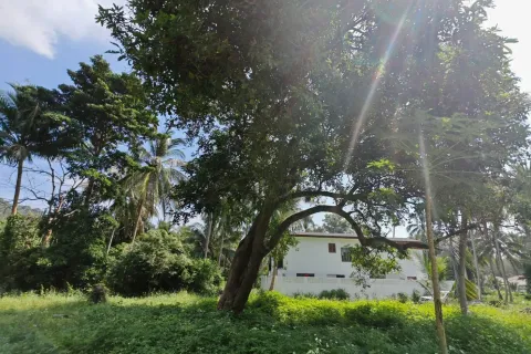 Land in Ko Samui, Thailand 6400 sq.m. № 160711 - photo 3