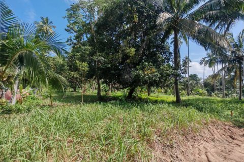 Land in Ko Samui, Thailand 6400 sq.m. № 160711 - photo 13