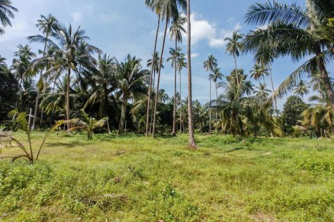 Land in Ko Samui, Thailand 6400 sq.m. № 160711 - photo 4