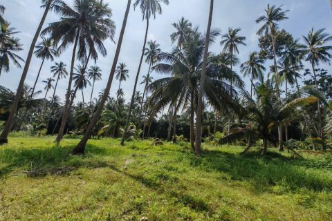Land in Ko Samui, Thailand 6400 sq.m. № 160711 - photo 7
