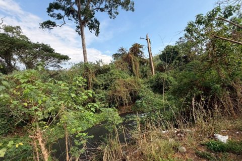 Land in Pak Chong, Thailand 2016 sq.m. № 169180 - photo 20