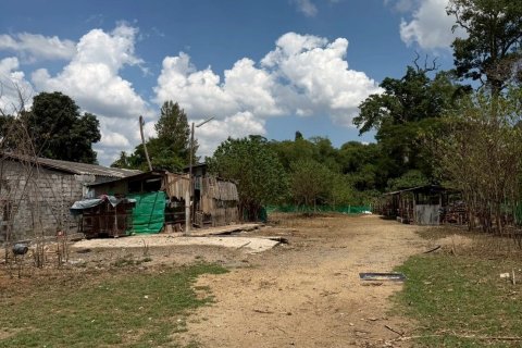 Land in Pak Chong, Thailand 2016 sq.m. № 169180 - photo 16