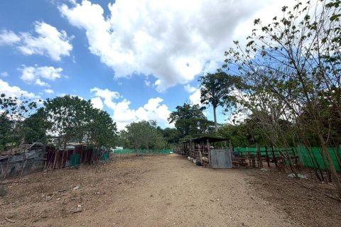 Land in Pak Chong, Thailand 2016 sq.m. № 169180 - photo 11