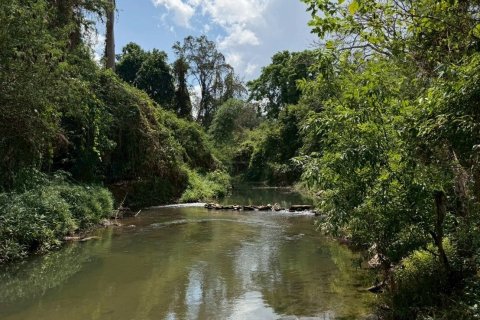 Land in Pak Chong, Thailand 2016 sq.m. № 169180 - photo 18