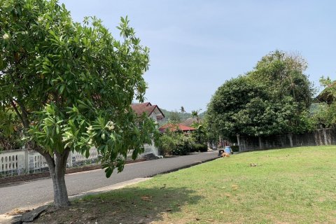 Terrain à Pattaya, Thaïlande 816 m2 № 138662 - photo 2