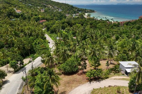 Land in Surat Thani, Thailand 500 sq.m. № 137164 - photo 4