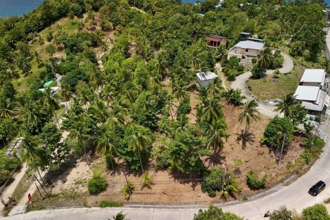 Land in Surat Thani, Thailand 500 sq.m. № 137164 - photo 3