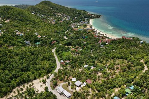 Land in Surat Thani, Thailand 500 sq.m. № 137164 - photo 7