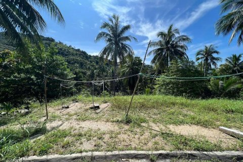 Land in Surat Thani, Thailand 500 sq.m. № 137164 - photo 12