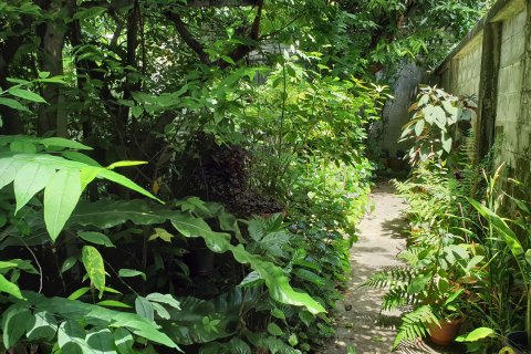 Студия в Бангкок, Таиланд № 144091 - фото 22