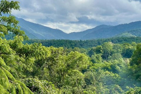 Villa in Chiang Mai, Thailand 5 bedrooms № 155327 - photo 13