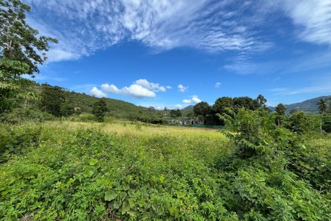 Land in Ko Samui, Thailand 1424 sq.m. № 139425 - photo 5