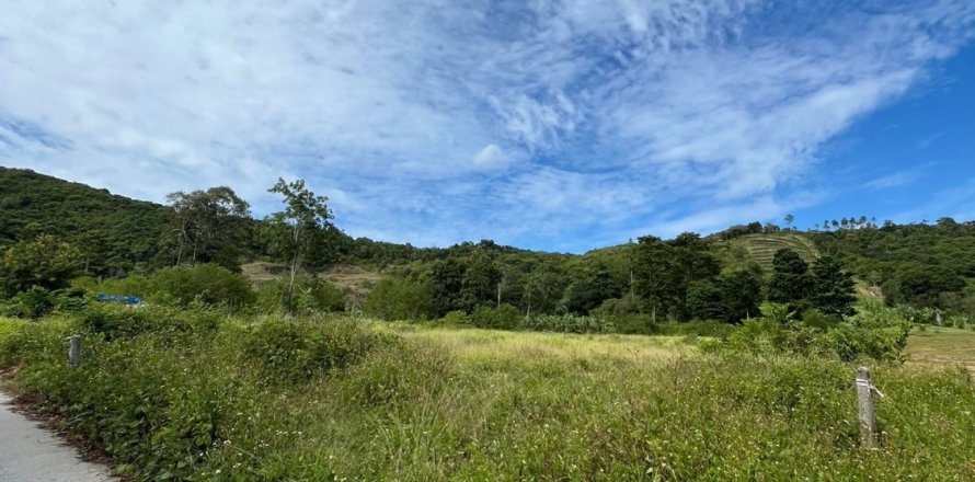 Land in Ko Samui, Thailand 1424 sq.m. № 139425