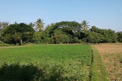 Land in Nong Khai, Thailand 21600 sq.m. № 139424 - photo 14